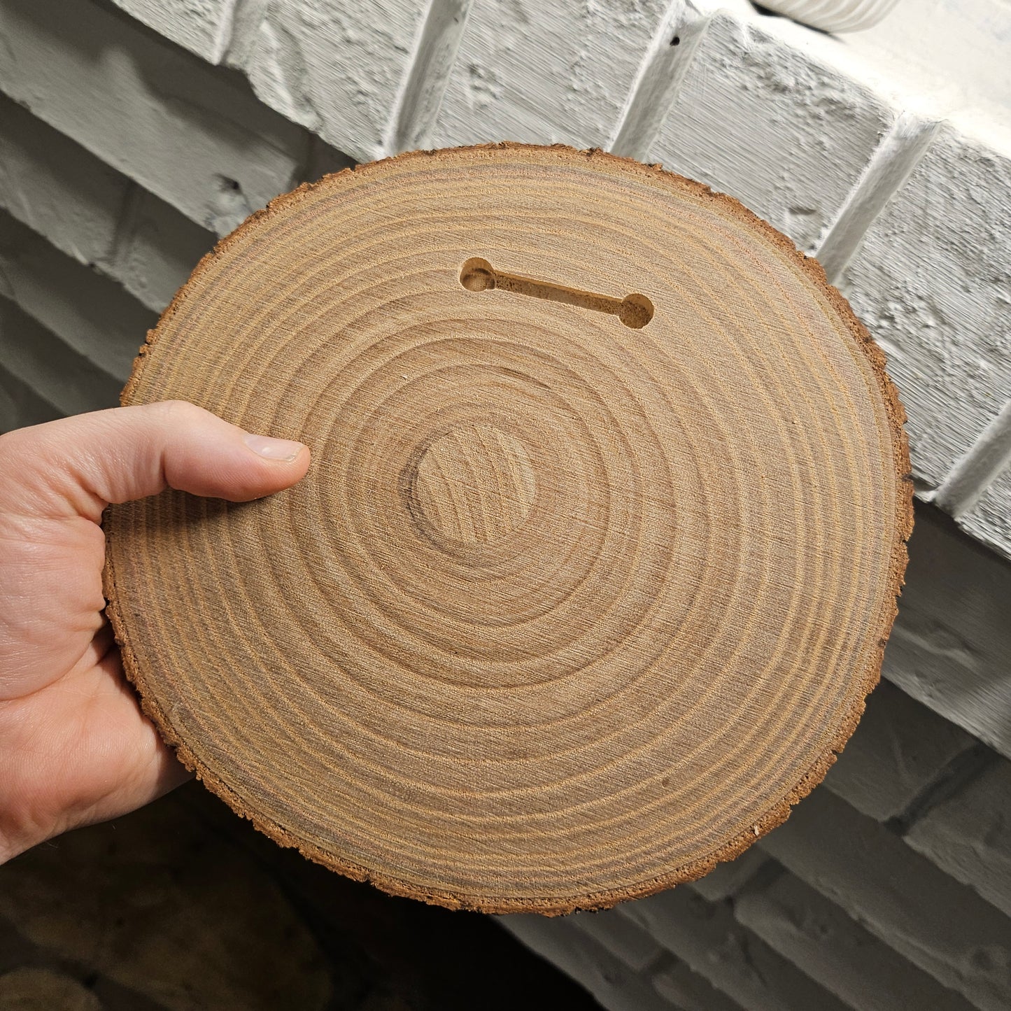 Custom Bible Wall Art - 8-9 inch Wood Slice